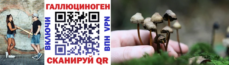 mega сайт  Прокопьевск  Галлюциногенные грибы MAGIC MUSHROOMS 