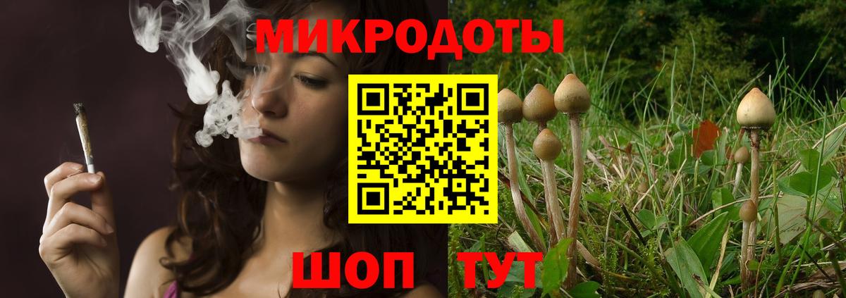 Галлюциногенные грибы мухоморы  купить наркотики цена  Прокопьевск  Вход с VPN 