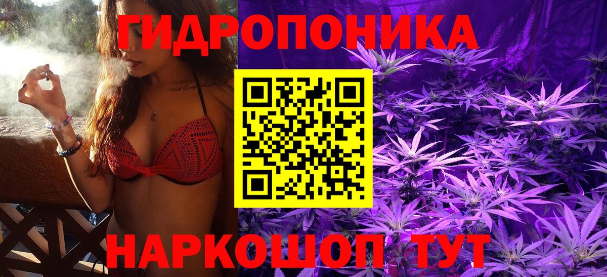Бошки марихуана Bruce Banner  Шишки марихуана гибрид  Прокопьевск  Марихуана Ganja  Вход с VPN  Бошки марихуана планчик 